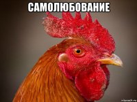 самолюбование 