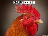 нарциссизм 