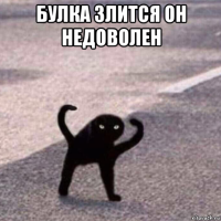 булка злится он недоволен 