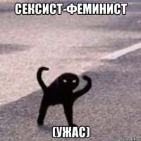 сексист-феминист (ужас)