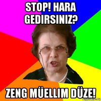 stop! hara gedirsiniz? zeng müellim düze!