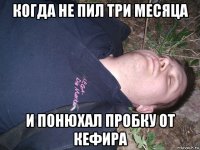 когда не пил три месяца и понюхал пробку от кефира