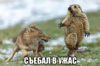  съебал в ужас