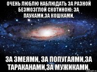 очень люблю наблюдать за разной безмозглой скотиною: за пауками,за кошками, за змеями, за попугаями,за тараканами,за мужиками.