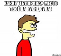 какие тебе права? место твоё на кухне,сука! 