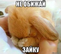 не обижай зайку