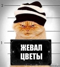 Жевал цветы