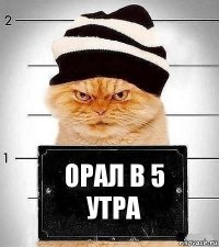 Орал в 5 утра