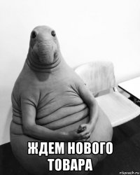  ждем нового товара