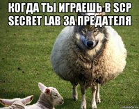 когда ты играешь в scp secret lab за предателя 