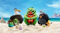 Создать мем Angry birds