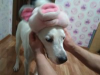 Создать мем Гг
