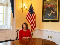 Создать мем Pelosi