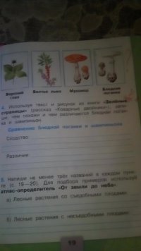 Создать мем Тетрадь
