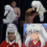 картинки кот,картинки anime,картинки косплей