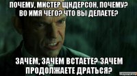 почему, мистер щндерсон, почему? во имя чего? что вы делаете? зачем, зачем встаете? зачем продолжаете драться?