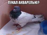 пукал акварелью? 