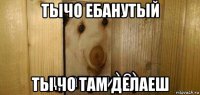 тычо ебанутый ты чо там делаеш