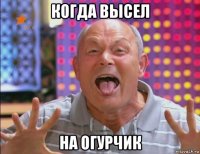 когда высел на огурчик