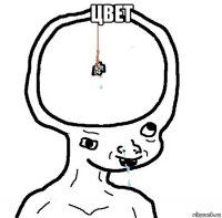 цвет 