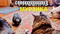 сооохххххххххх 