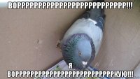 ворррррррррррррррррррррррррр!!! я ворррррррррррррррррррррррррркую!!!