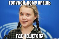 голубой, кому орешь где чешется?