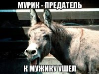 мурик - предатель к мужику ушел