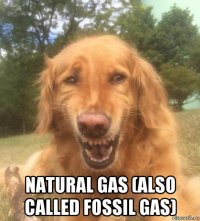 natural gas (also called fossil gas)