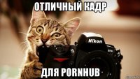 отличный кадр для pornhub
