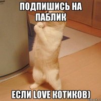 подпишись на паблик если love котиков)