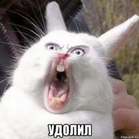  удолил