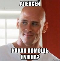 алексей какая помощь нужна?