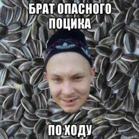 брат опасного поцика по ходу