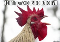 меня петух в очко клюнул 