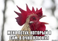  меня петух, который я сам, в очко клюнул