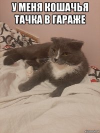 у меня кошачья тачка в гараже 