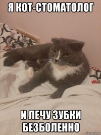 я кот-стоматолог и лечу зубки безболенно