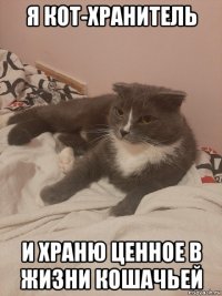 я кот-хранитель и храню ценное в жизни кошачьей