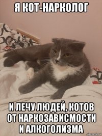 я кот-нарколог и лечу людей, котов от наркозависмости и алкоголизма