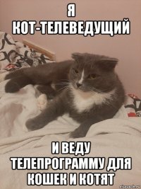 я кот-телеведущий и веду телепрограмму для кошек и котят