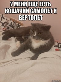 у меня еще есть кошачий самолет и вертолет 