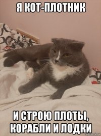 я кот-плотник и строю плоты, корабли и лодки