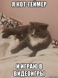 я кот-геймер и играю в видеоигры