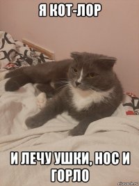 я кот-лор и лечу ушки, нос и горло