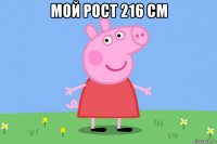 мой рост 216 см 