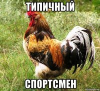 типичный спортсмен