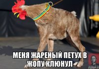  меня жареный петух в жопу клюнул