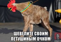  шевелите своим петушиным очком