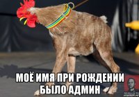  моё имя при рождении было админ